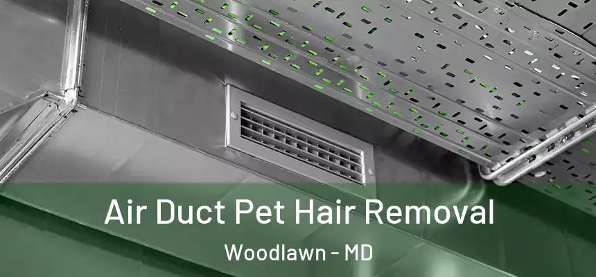  Air Duct Pet Hair Removal Woodlawn - MD