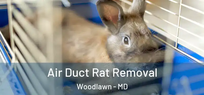 Air Duct Rat Removal Woodlawn - MD