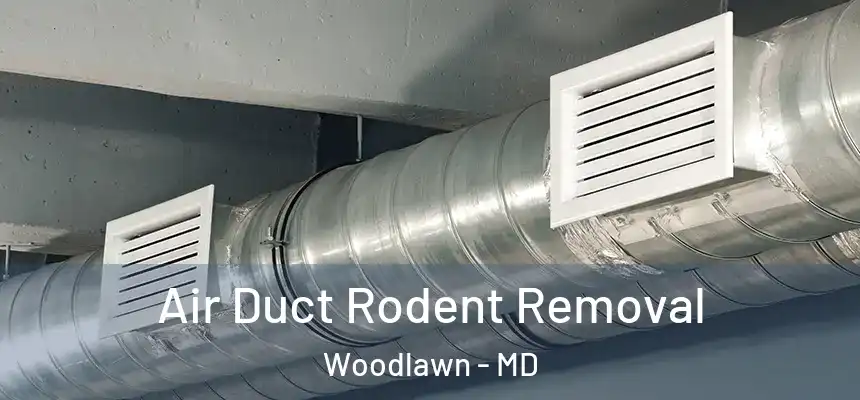  Air Duct Rodent Removal Woodlawn - MD