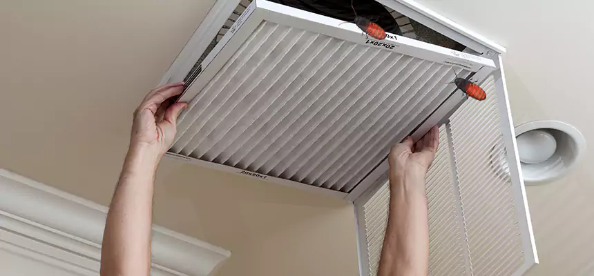 Our Insect Removal from Air Ducts Services in Woodlawn, MD