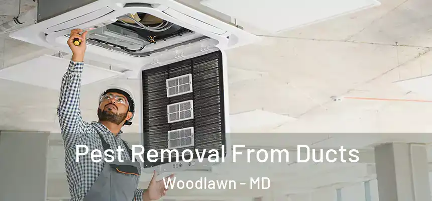  Pest Removal From Ducts Woodlawn - MD