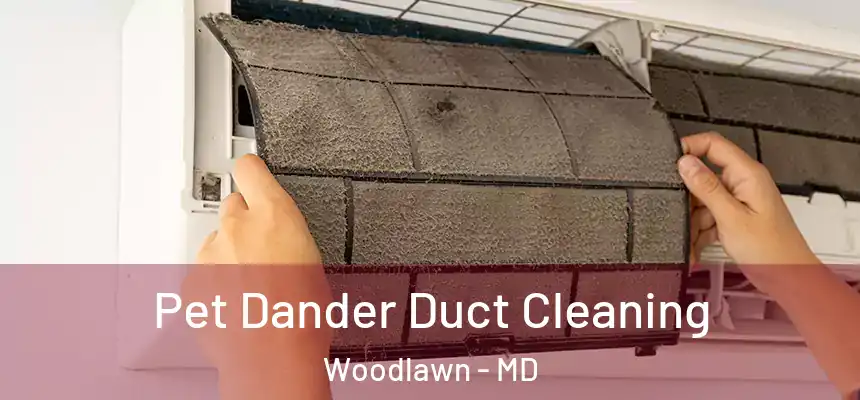  Pet Dander Duct Cleaning Woodlawn - MD