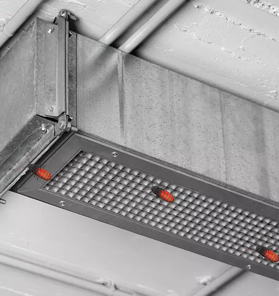 About Air Duct Cockroach Removal in Woodlawn, MD