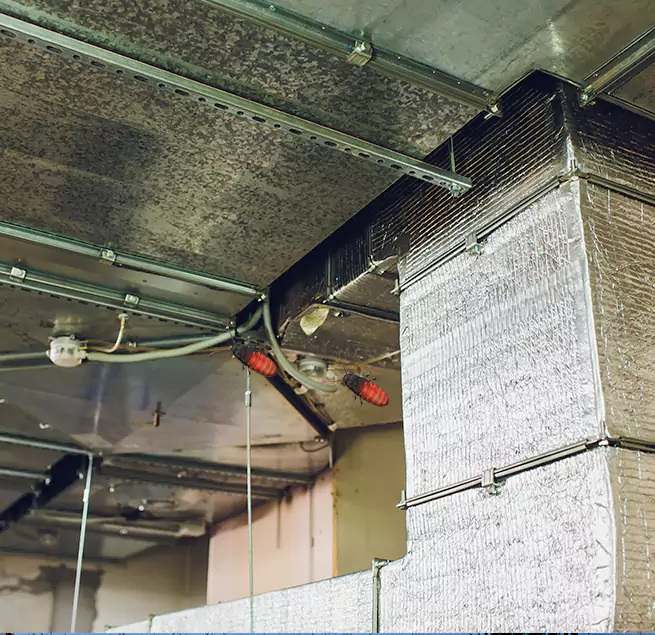 Why Homeowners & Businesses Trust Us in Woodlawn, MD?