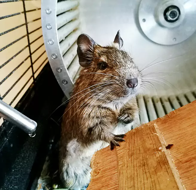 Why Homeowners & Businesses Trust Us Woodlawn, MD