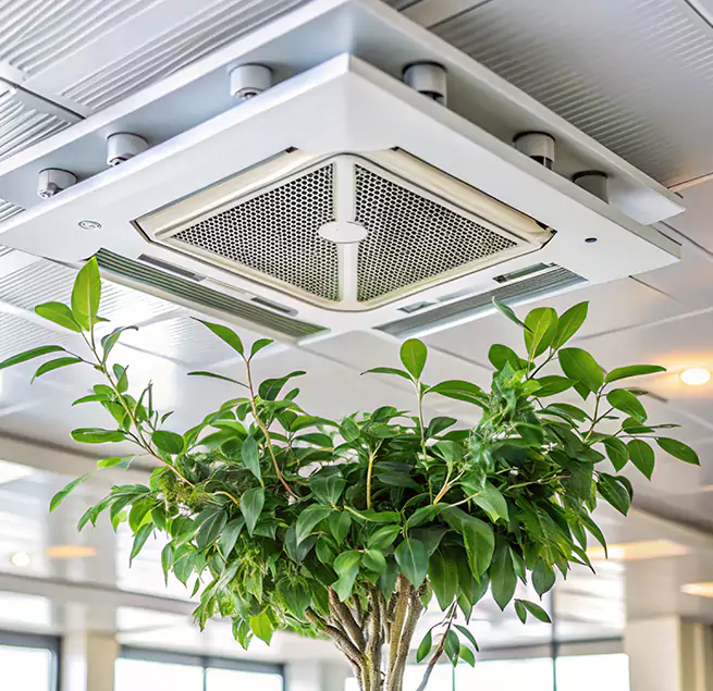 Why Homeowners & Businesses Trust Us in Woodlawn, MD?